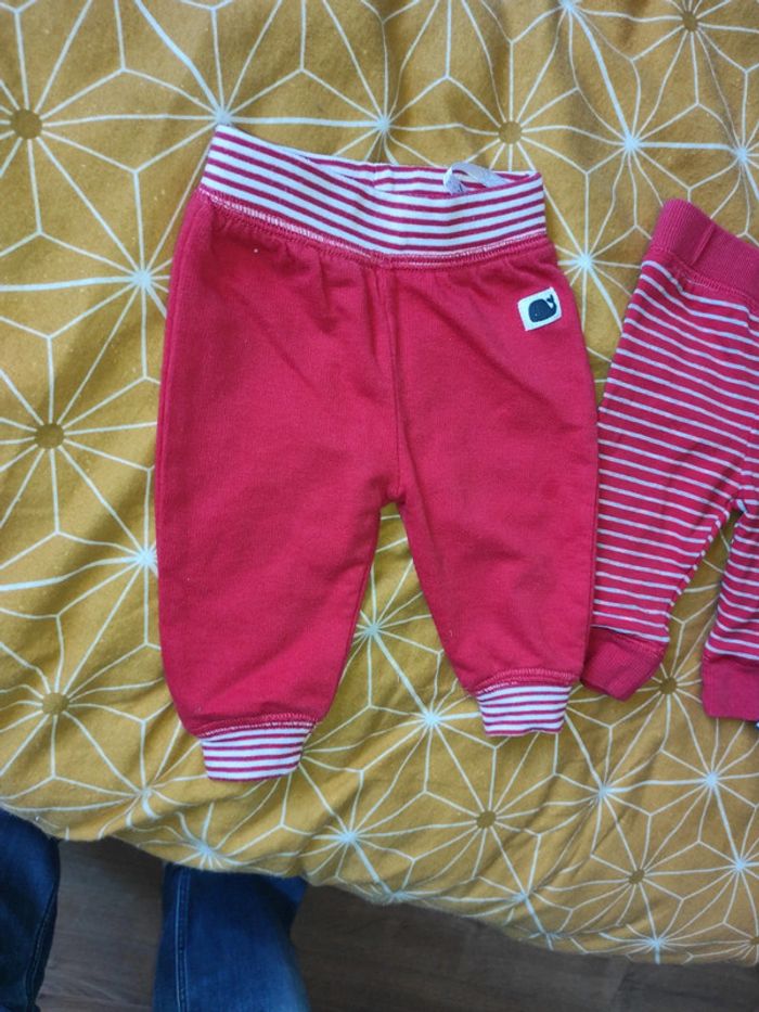 Lot 3pantalon taille élastique confortable baleine 🐳 - photo numéro 3