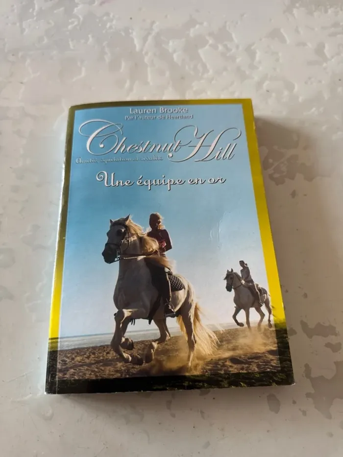 📚 Lot complet – Chestnut Hill – Tomes 1 à 9 – Lauren Brooke - photo numéro 17