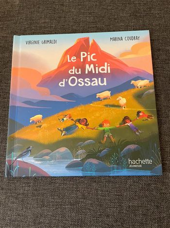 Livre le pic du midi d’ossau