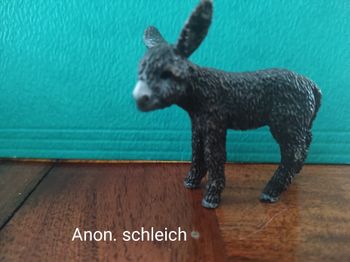 Anon schleich