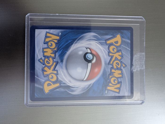 Carchacrock alt cor - photo numéro 2