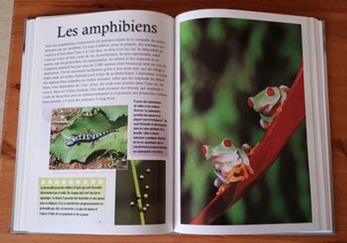 Encyclopédie de la nature - photo numéro 3