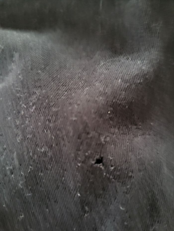 Lot de 2 tee-shirts manches courtes thème mer 🌊 - photo numéro 6