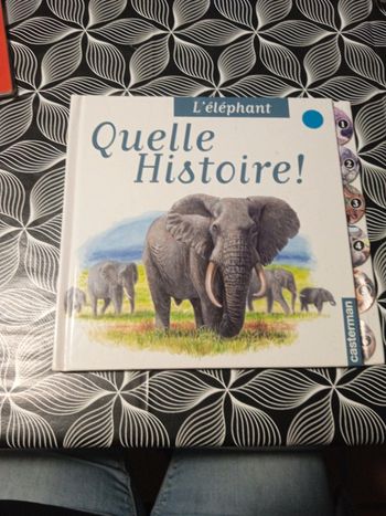 L Elephant collection quelle histoire de Casterman