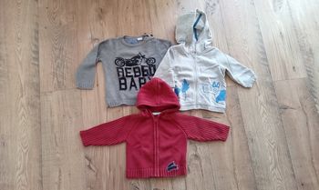 Lot de 3 pulls sweat capuche bébé garçon 18 mois