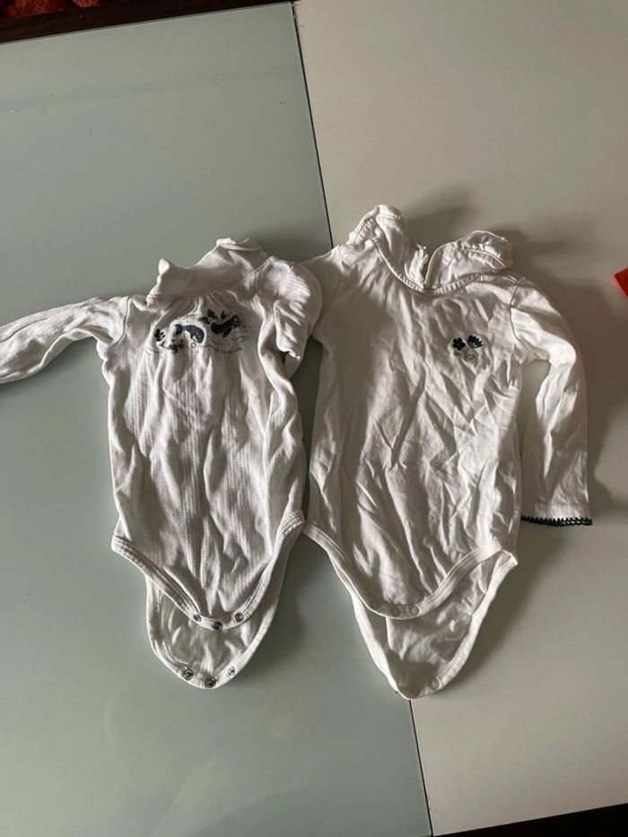 2 bodies