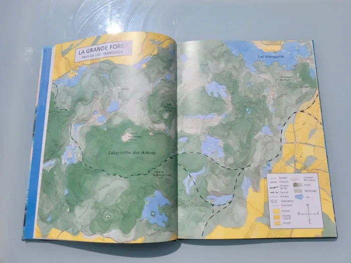 Livre couverture rigide, grand format, l'école des loisirs, La Grande Forêt, le pays des Chintiens - photo numéro 5