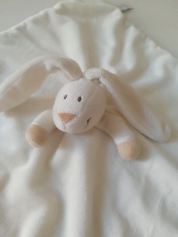 Lapin Floppys