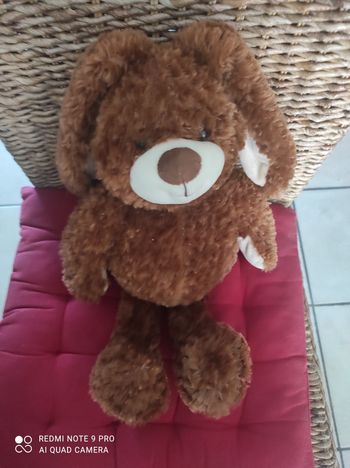 Ours peluche
