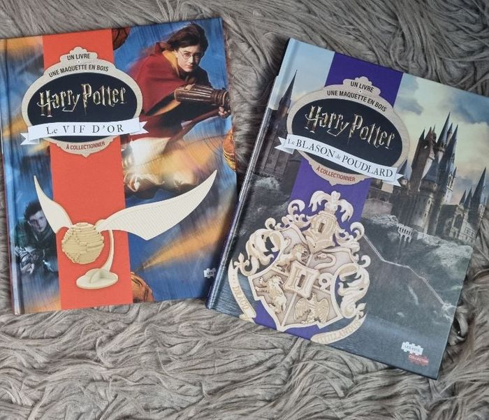 Lot 2 livres Harry Potter