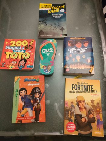 Lot livres Fortnite,.