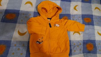 Veste coton capuche héros