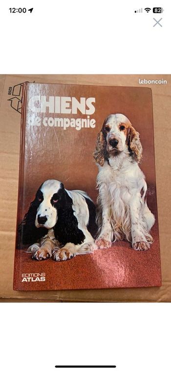 Chiens de compagnie