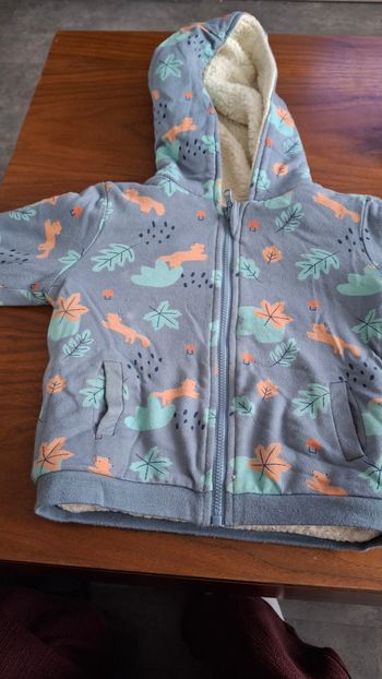 Manteau