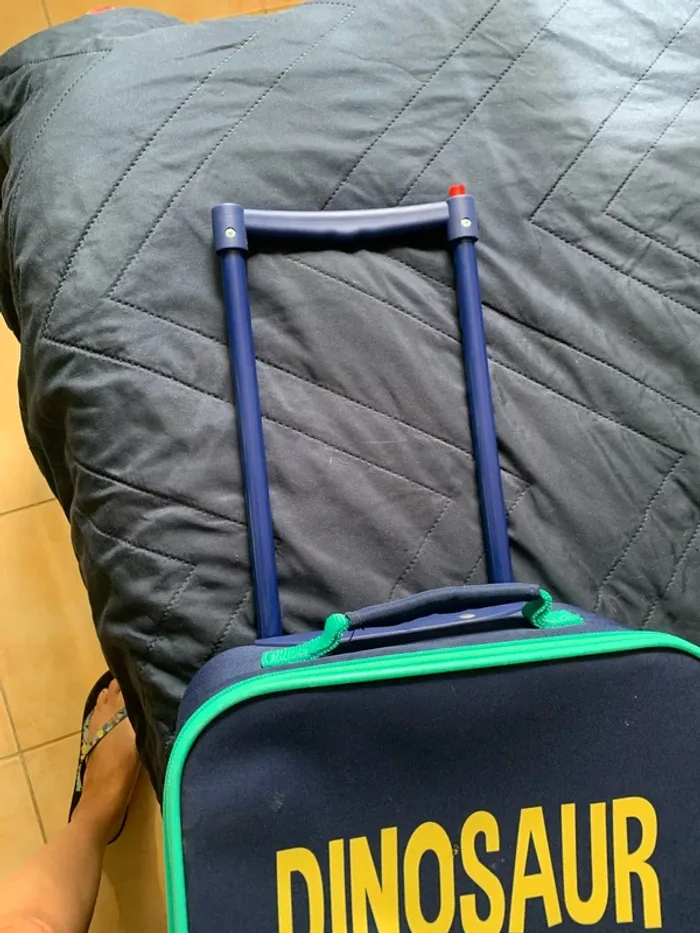 Lot valise et petit sac à dos dinosaures - photo numéro 7
