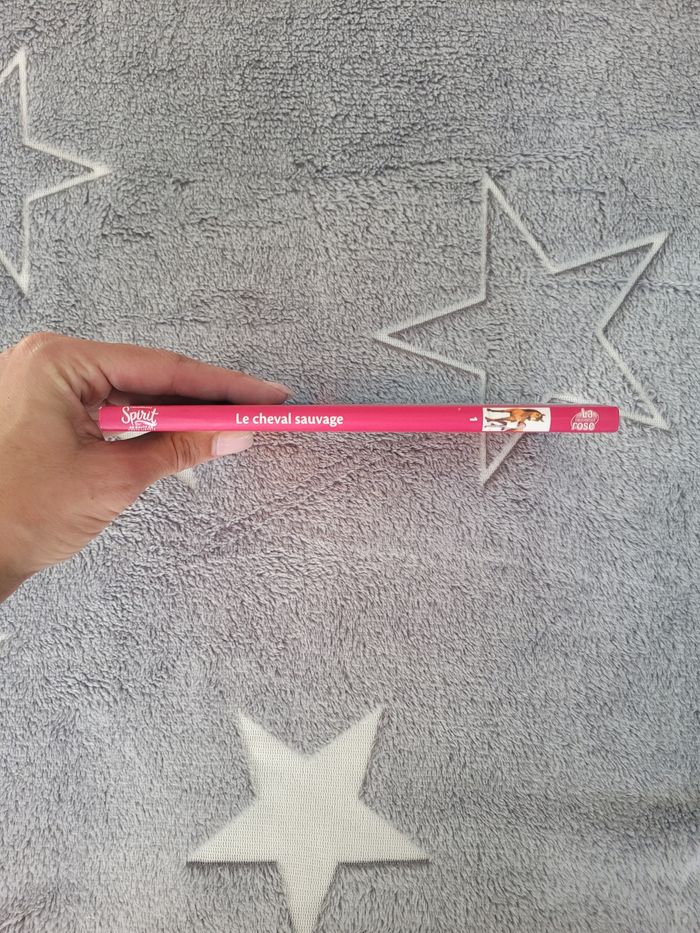 Spirit Le cheval sauvage - photo numéro 4