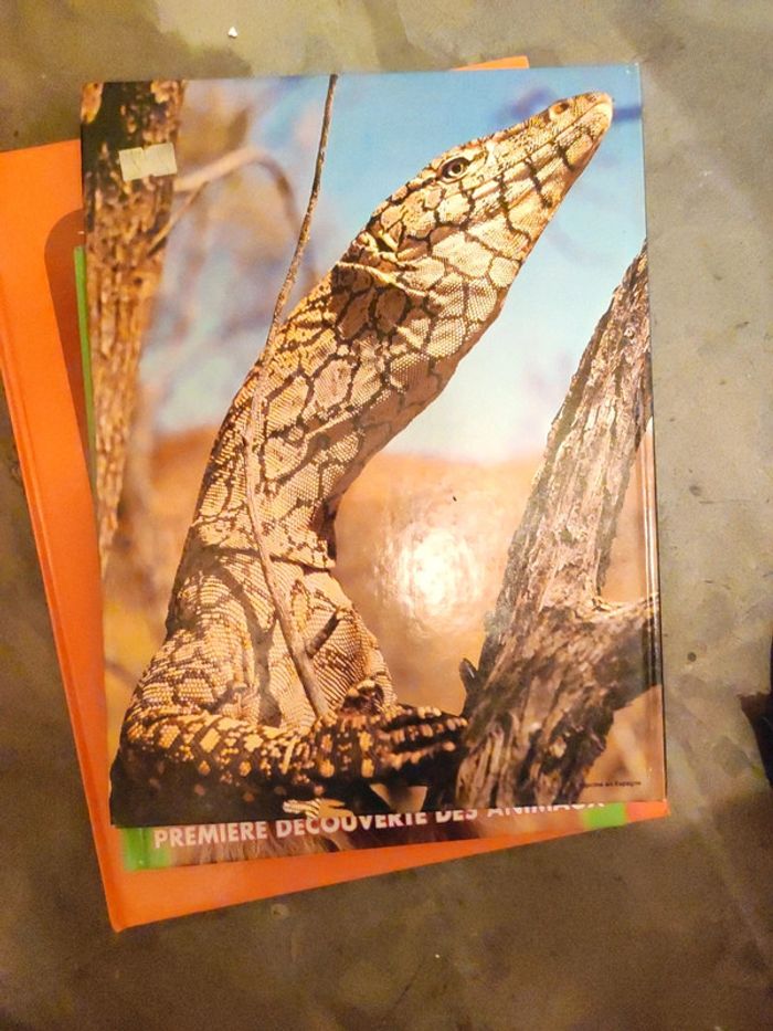 Livre les monstres vivants - photo numéro 2