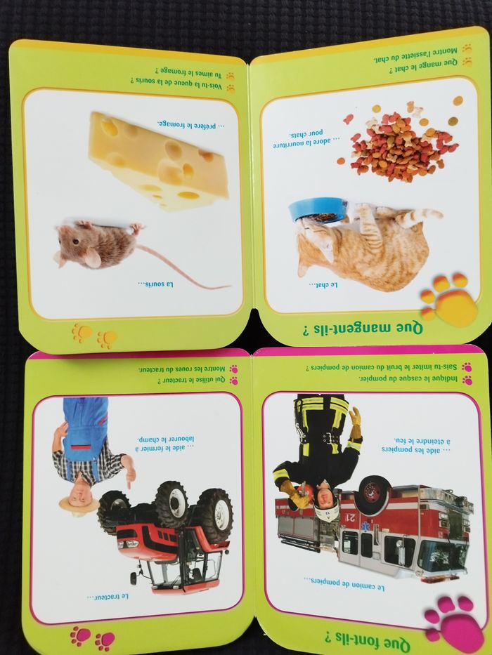Livres cartonnés Les animaux et les véhicules Collection Petits Pas - photo numéro 2
