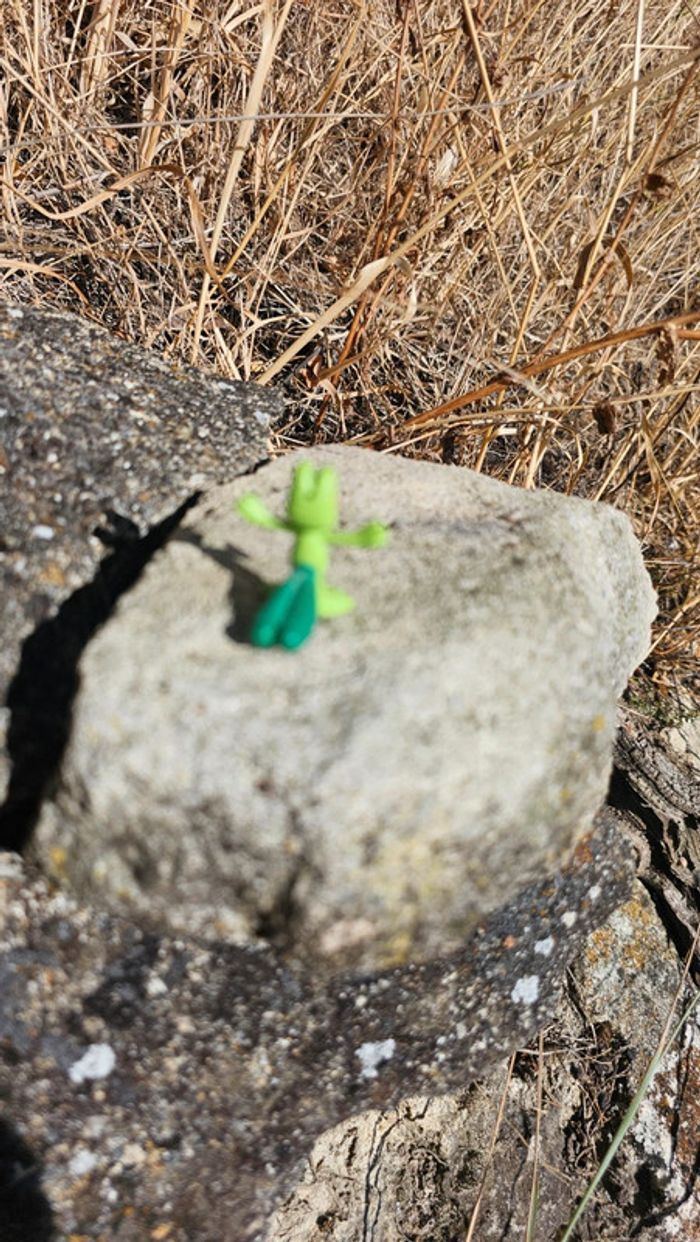 Super petite figurine Pokemon Nintendo Arcko - photo numéro 3