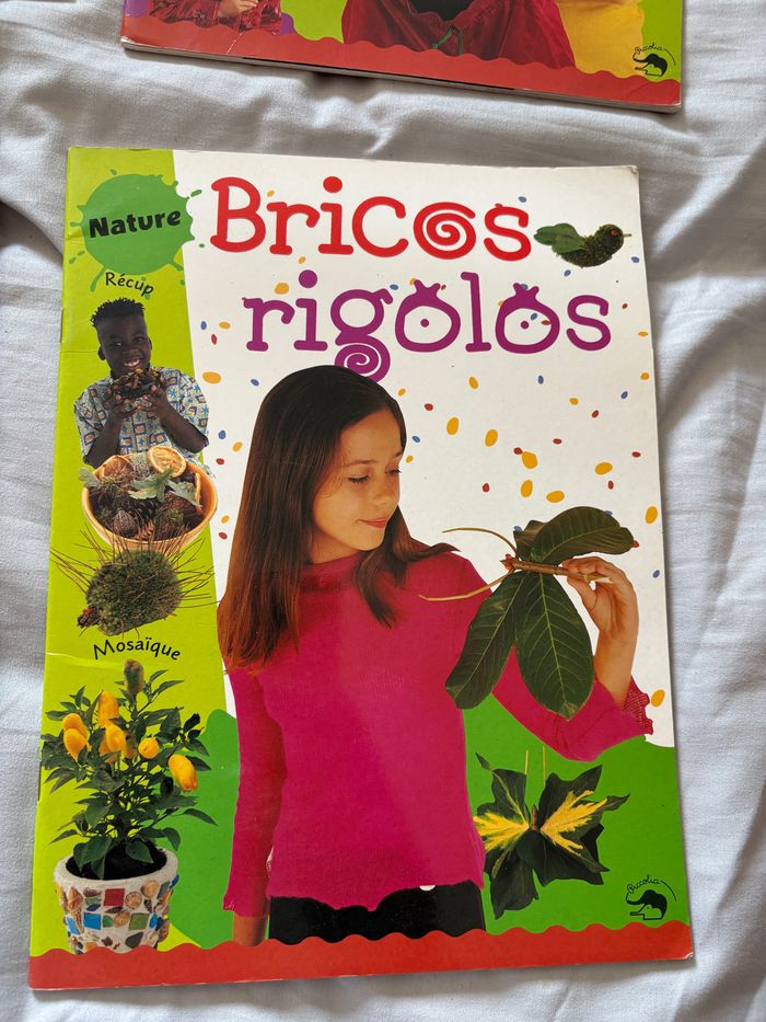 4 livres fins bricos rigolos - photo numéro 4