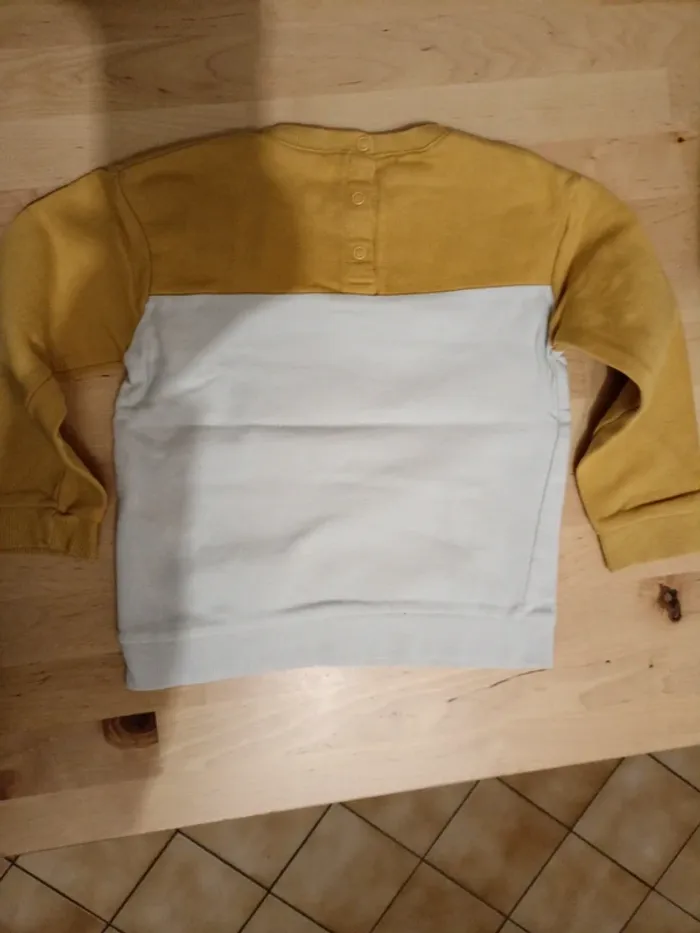 Pull 3 ans le roi lion - photo numéro 2