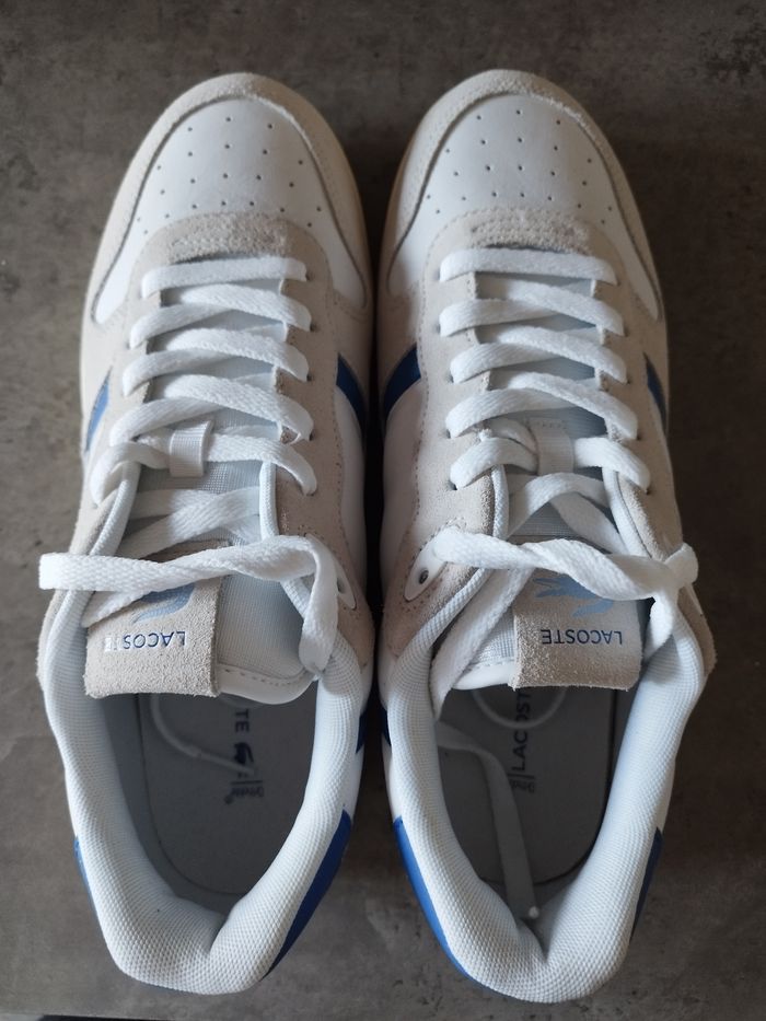 Basket Lacoste
