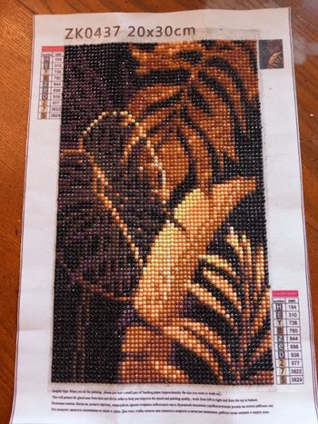 Diamond painting 20x30 cm