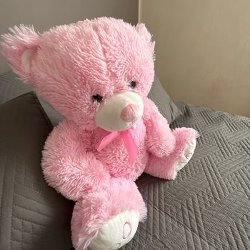 Ours  en peluche