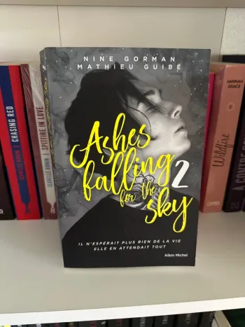 Ashes falling for the sky 2