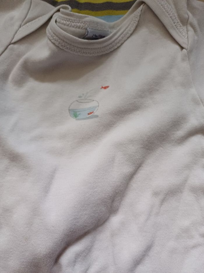 5 bodies manches longues 12 mois - photo numéro 3