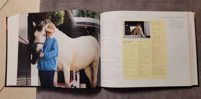 Le Monde fascinant des chevaux Magali Guenette - photo numéro 6