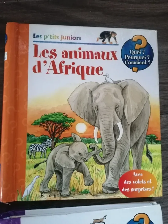 Livres les p'tits juniors - photo numéro 3