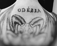 profil