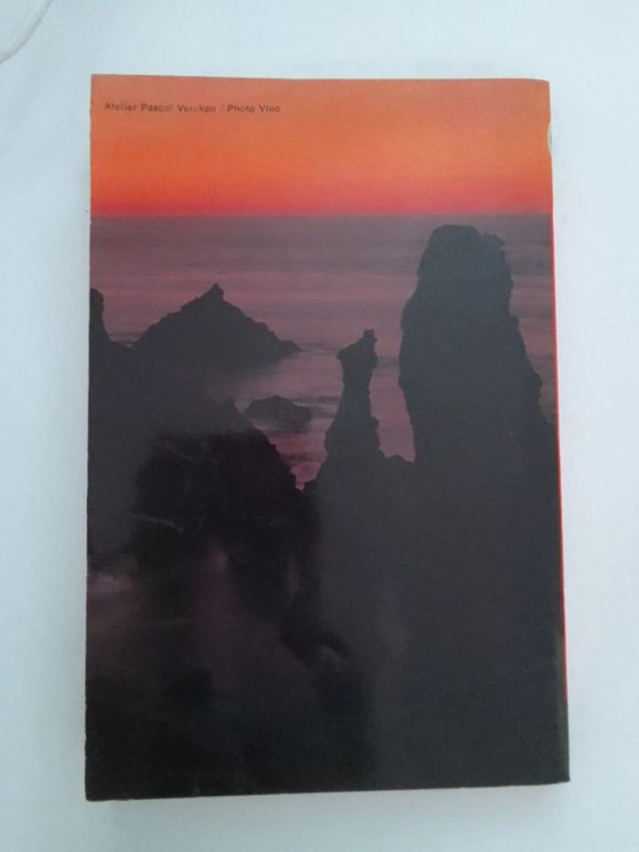 Vahe Katcha - Se réveiller démon - photo numéro 2