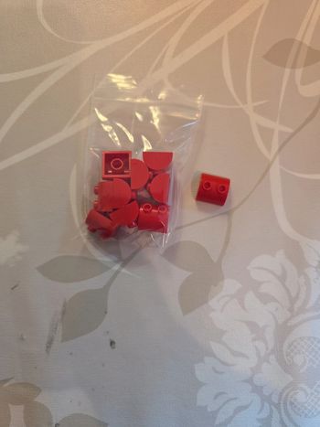 Pièces Lego  4521852