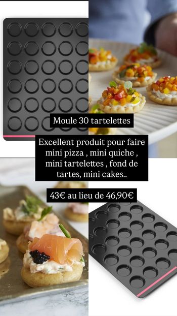 Moule tartelettes Guy Demarle