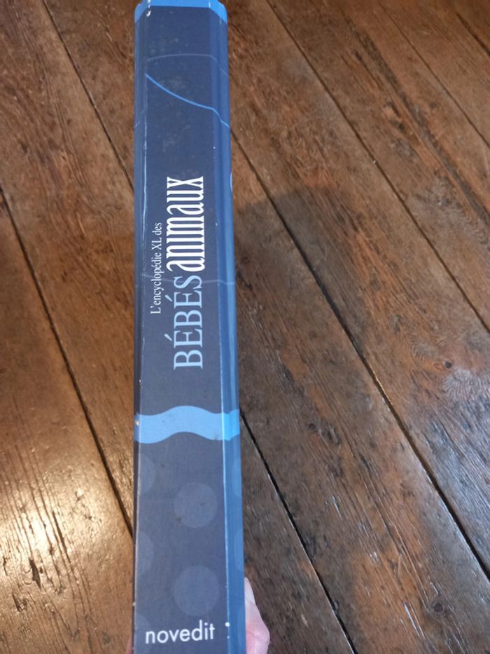 Encyclopédie des bébé animaux - photo numéro 4