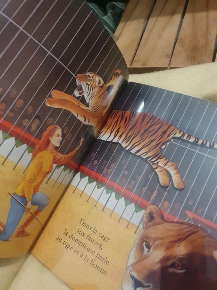 Livre magique - photo numéro 2