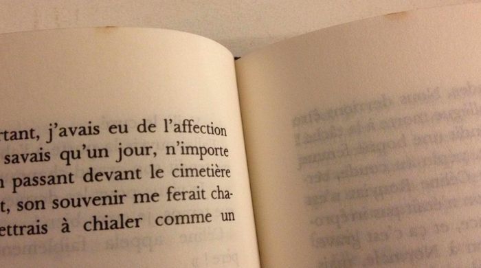Livre le soir du vent fou Michel Jeury éditions Robert Laffont - photo numéro 7