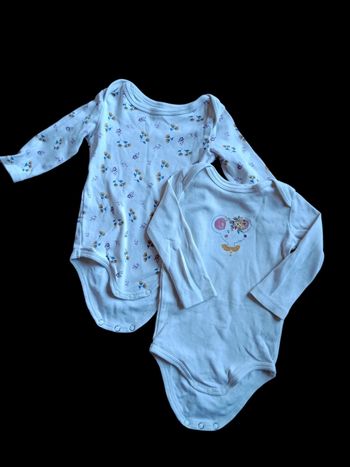 Lot de 2 bodies souris fleurs A1498