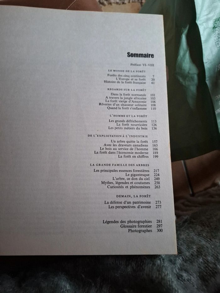 Le grand livre de la forêt. - photo numéro 5