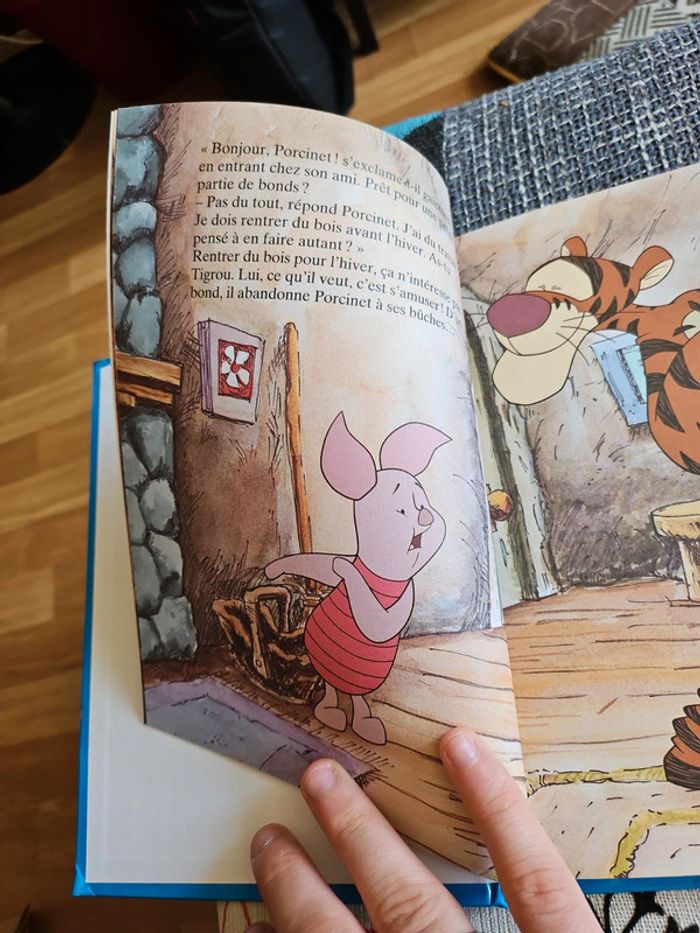 Les aventures de Tigrou et de son ami Winnie l'ourson - photo numéro 2