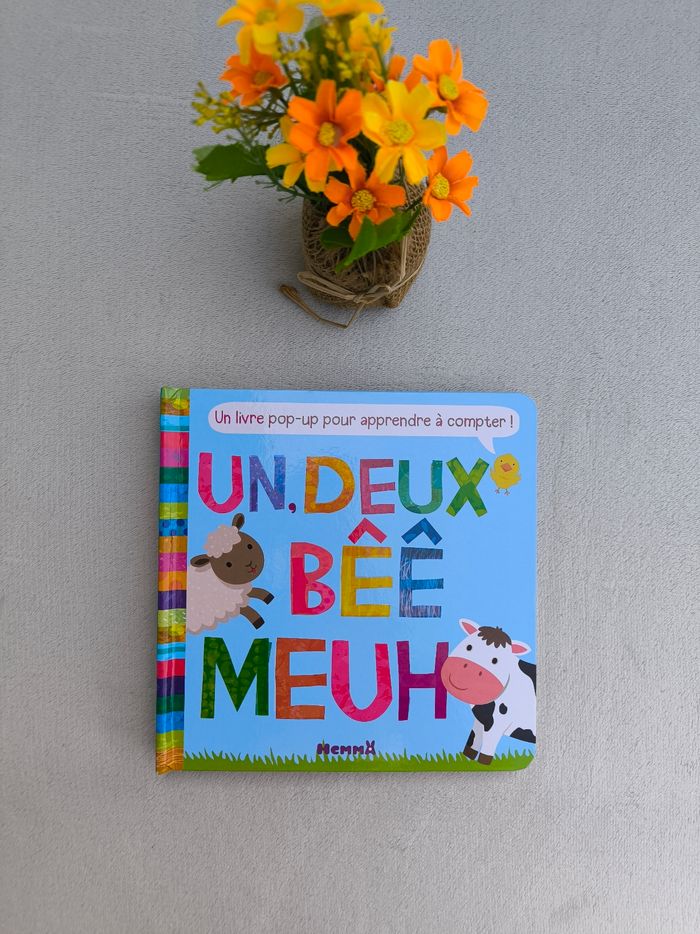 Livre Pop-up Hemma
