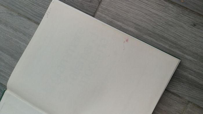 La grammaire de l'allemand moderne - photo numéro 7