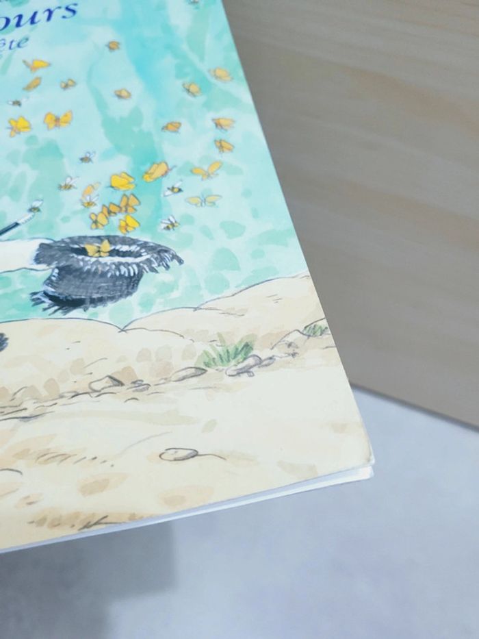 🌺 Livre (école des loisirs) : Calinours fait la fête - photo numéro 7