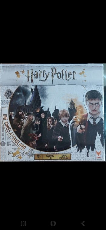 Une année à Poudlard