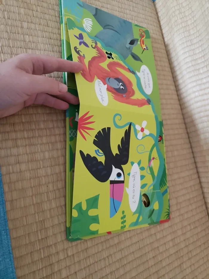 Joue à cache-cache avec tigre - photo numéro 10