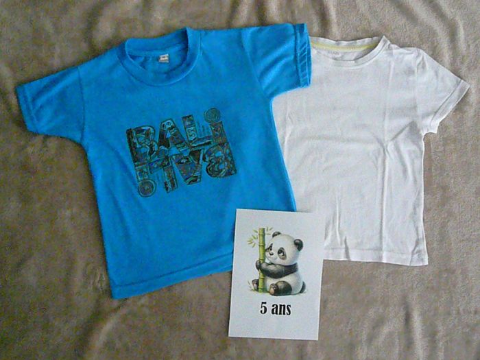 Lot de 2 tee-shirts garçon 5 ans (n°12bis)