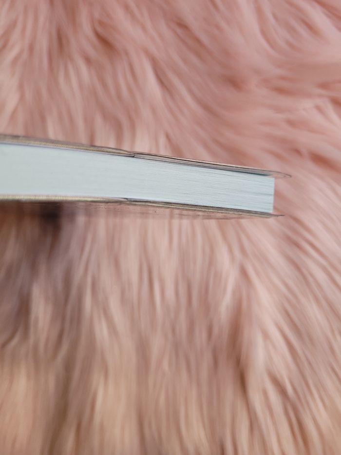 Cahier reine des neiges disney - photo numéro 6