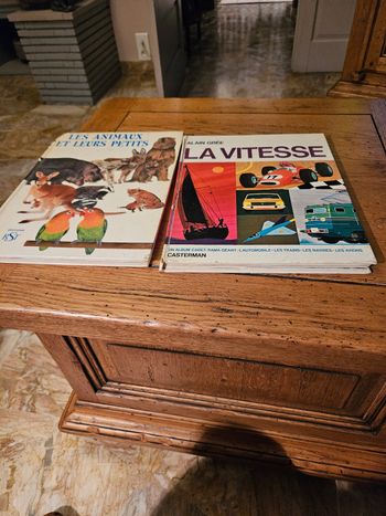 2 livres pour enfants vintage